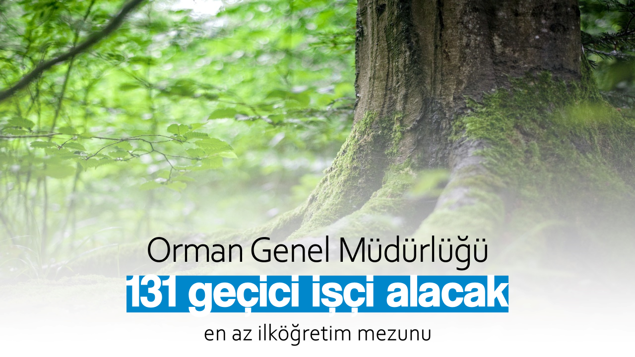 Türkiye Orman Genel Müdürlüğü,
