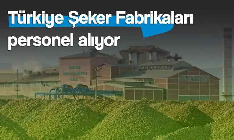 Türkiye Şeker Fabrikaları 16 personel alımı yapıyor